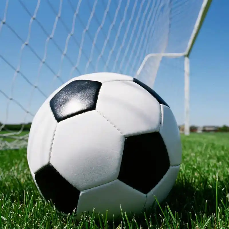 即时比分559app应用界面展示